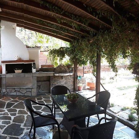 Hostal Theodoras House Nea Iraklitsa Exterior foto