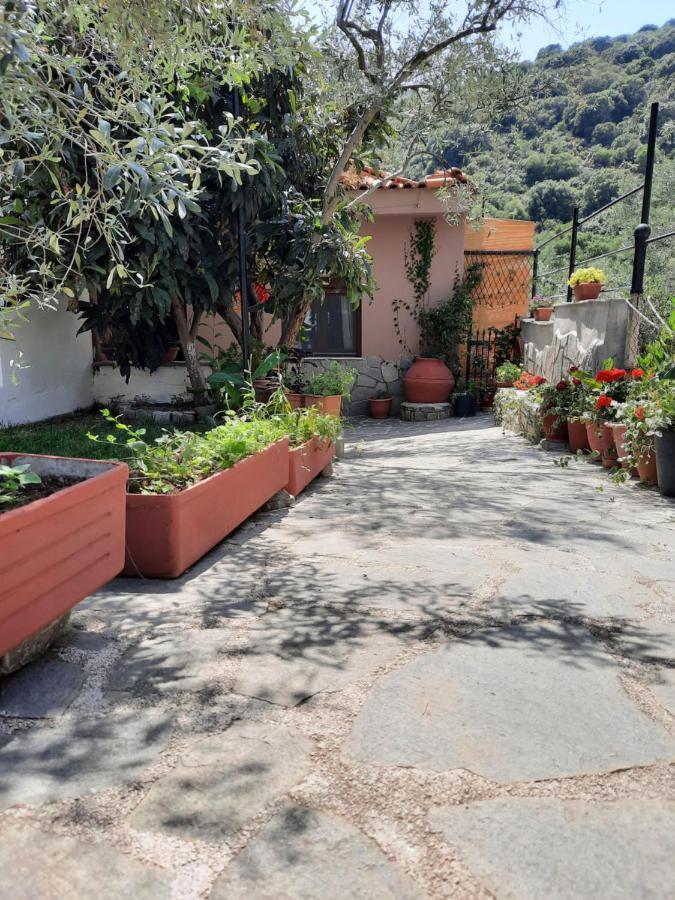 Hostal Theodoras House Nea Iraklitsa Exterior foto