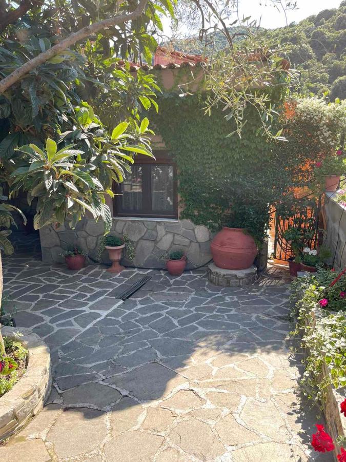 Hostal Theodoras House Nea Iraklitsa Exterior foto
